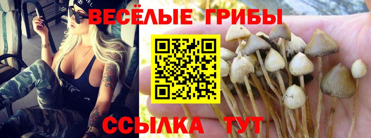 Псилоцибиновые грибы мухоморы  Вход с VPN  Вязники  Галлюциногенные грибы прущие грибы 